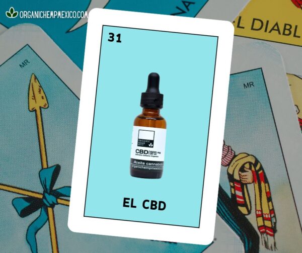 aceite de cbd cannabidiol., diseño digital cbd