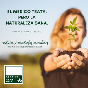 EL MEDICO TRATA, PERO LA NATURALEZA SANA. 2