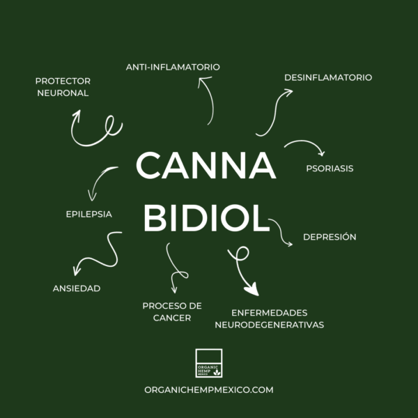 beneficios del cbd organic hemp mexico