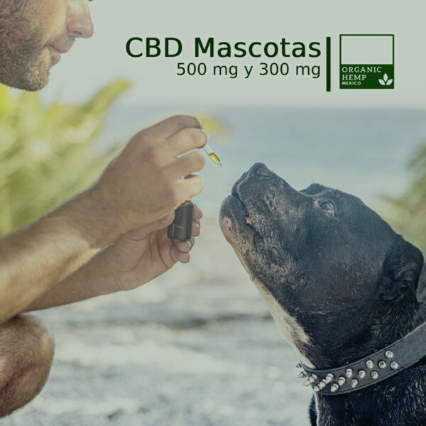 aceite de cannabidiol para mascotas - organic hemp mexico